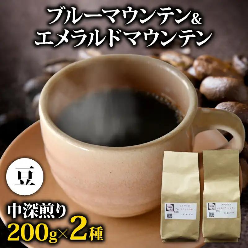 コーヒー豆 【計400g】 2種  コーヒー豆
