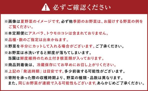 【6ヶ月定期便】有機JAS認定 季節の野菜 詰め合わせ～有機野菜セットA～ 北海道北広島市