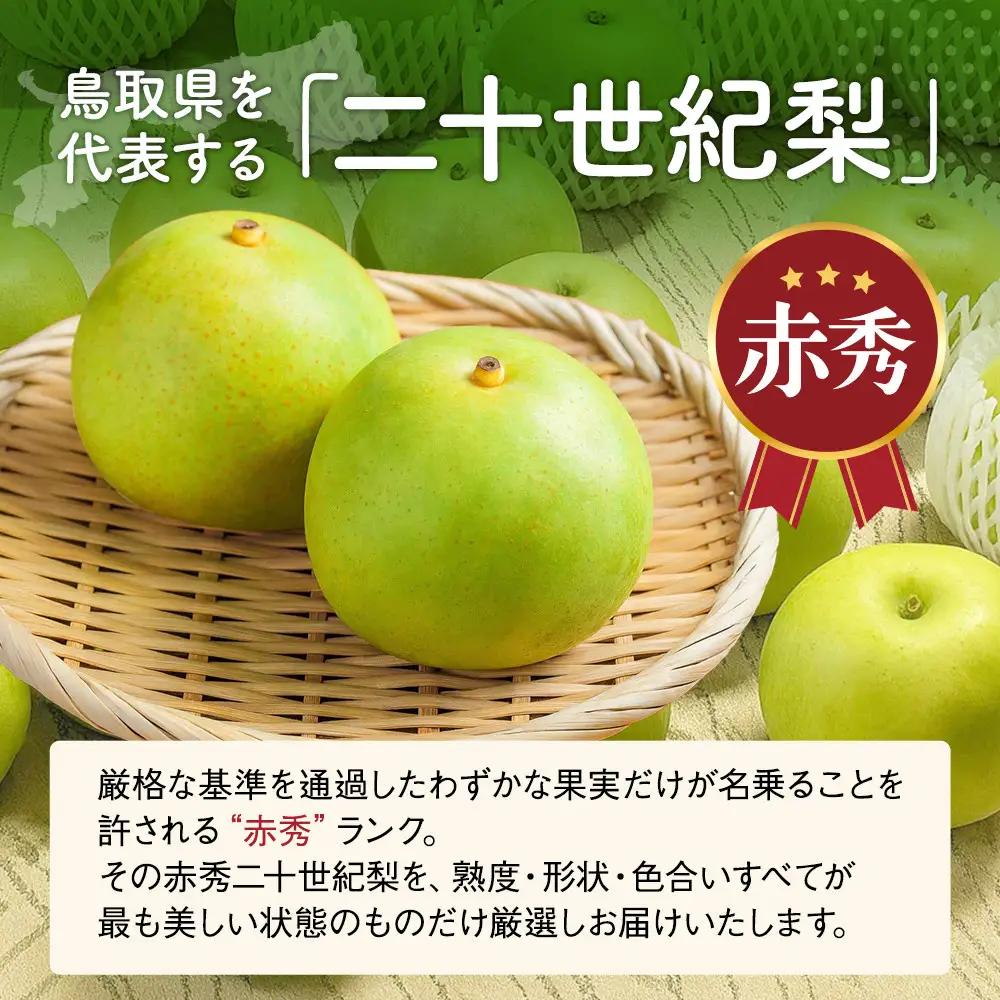 二十世紀梨 三ツ田農園 二十世紀梨 (赤秀)3kg 8月下旬以降お届け