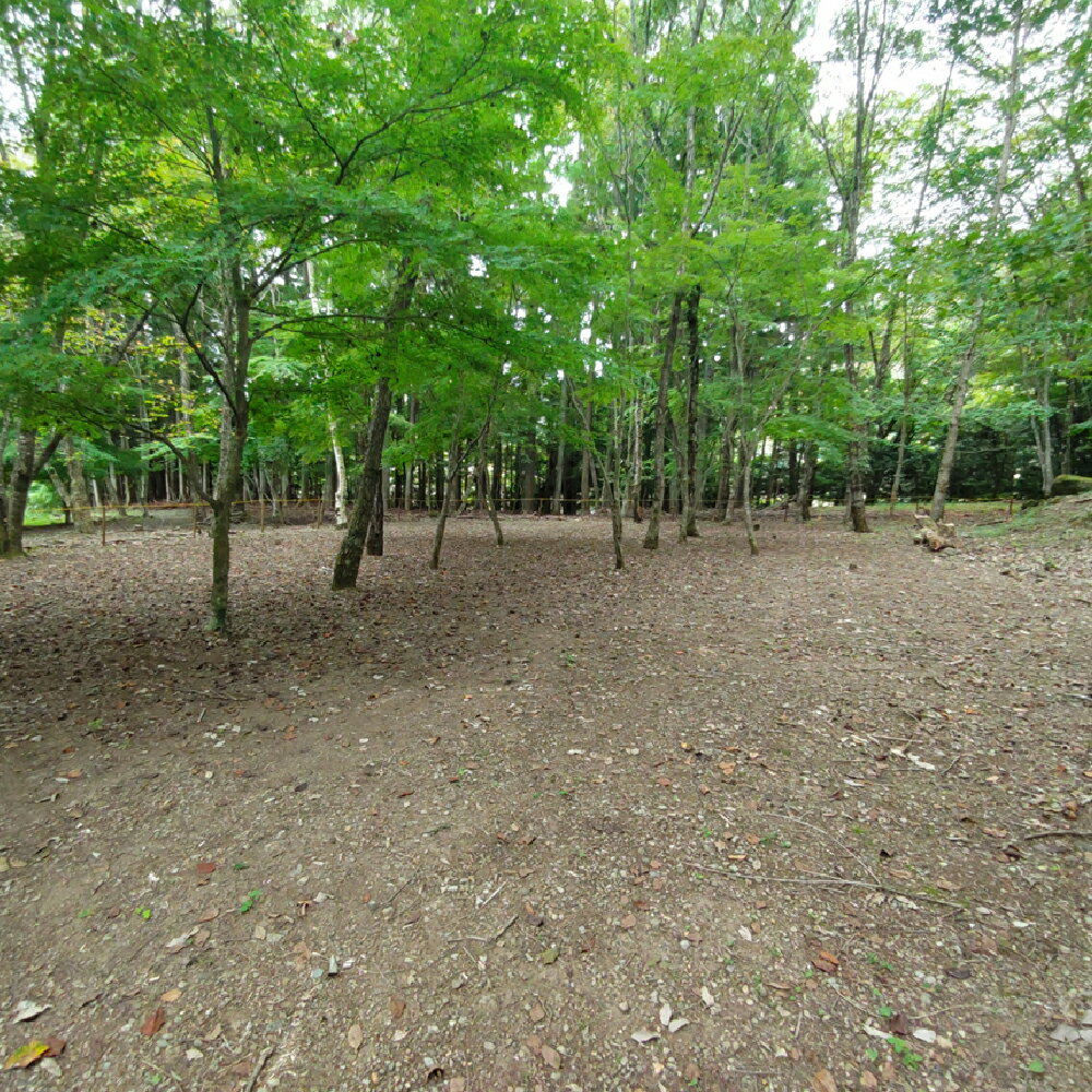 【ふるさと納税】宿泊プラン 林間フリーサイト 薪付 1泊2日 山梨県 キャンプ キャンプ場 利用券 宿泊券 アウトドア 身延町 送料無料