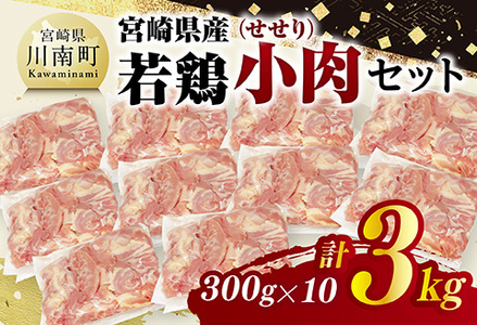 宮崎県産若鶏　小肉(せせり)3㎏（300g×10） 【 鶏肉 鶏 小肉 せせり 肉 宮崎県産 小分け パック 送料無料 】