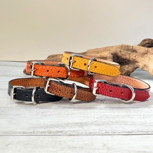 選べるサイズの 本革 犬 ・ 猫用 首輪 ( 15mm幅 ) 小型 / 中型 / 大型 【ドラーロ】 サイズ：S
カラー：黒