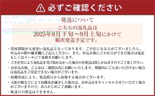 山之上梨 豊水