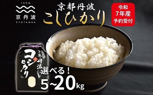 
            《先行予約》京丹波こしひかり 選べる 数量 5kg 10kg 15kg 20kg 令和7年産 新米 京都 精米 コシヒカリ ※北海道・沖縄・その他離島は配送不可 [010MB001X]
          
