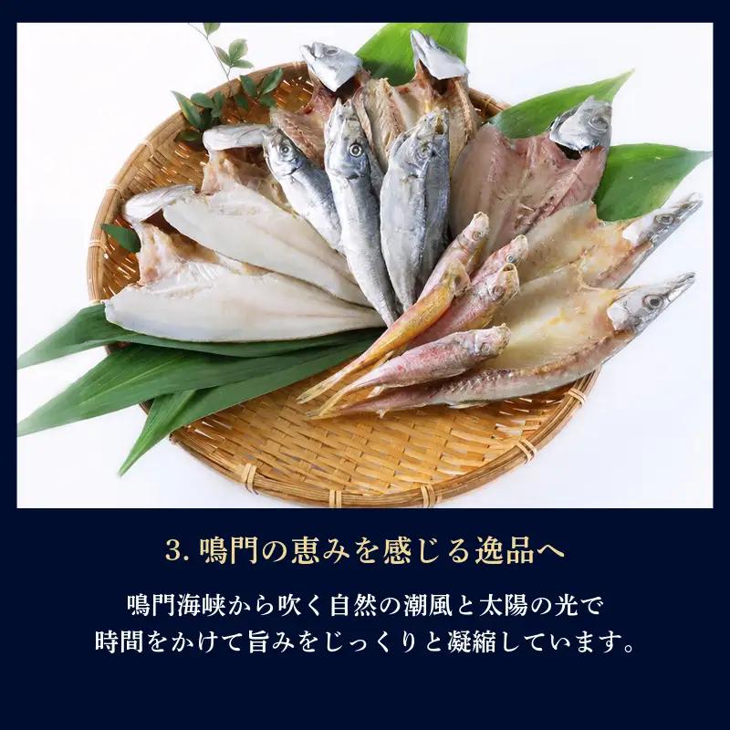 干物 詰め合わせ 4種以上 12枚