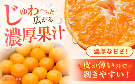 【2回定期便】※【2026年シーズン発送／先行予約】フルーツ定期便 シャインマスカット 約1.3kg(2房から3房) / 温州みかん(10kg) 家庭用 / フルーツ フルーツ定期便 果物定期便 シャ