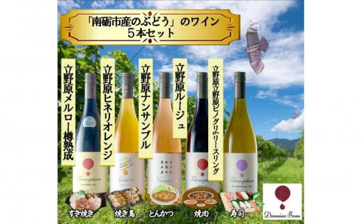 Domaine Beau 「南砺市産のぶどう」立野原ワイン5本セット