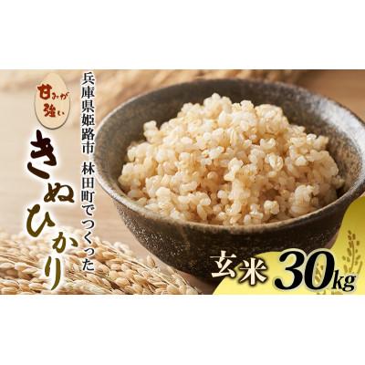 ふるさと納税 姫路市 (令和7年産)<10月初旬以降発送予定>きぬひかり玄米30キロ[53650730]