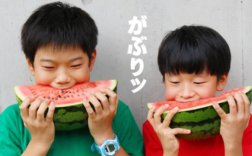 １玉お送りしますので、がぶっとかじりつくのも美味しいですよ！！