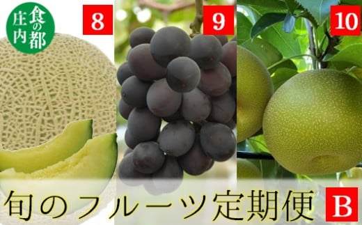 食の都庄内　《8・9・10月お届け-B》旬のフルーツの3ヶ月定期便