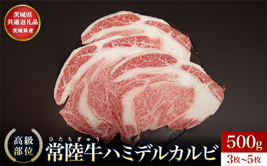 【茨城県共通返礼品】茨城県産 ハミデルカルビ500g | カルビ かるび カブリ 部位 ゲタ 中落カルビ リブ芯 リブ巻き 希少部位 高級部位 リブロース 牛肉 牛 大きい とろける 甘み はみでる 食卓 バーベキュー BBQ パーティー】