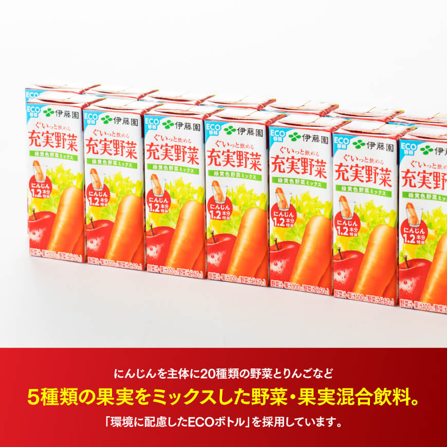 伊藤園 充実野菜 緑黄色野菜ミックス（紙パック）200ml×24本【6ヶ月定期便】 【 全6回 伊藤園 飲料類 野菜ジュース 野菜 ジュース ミックスジュース 飲みもの】