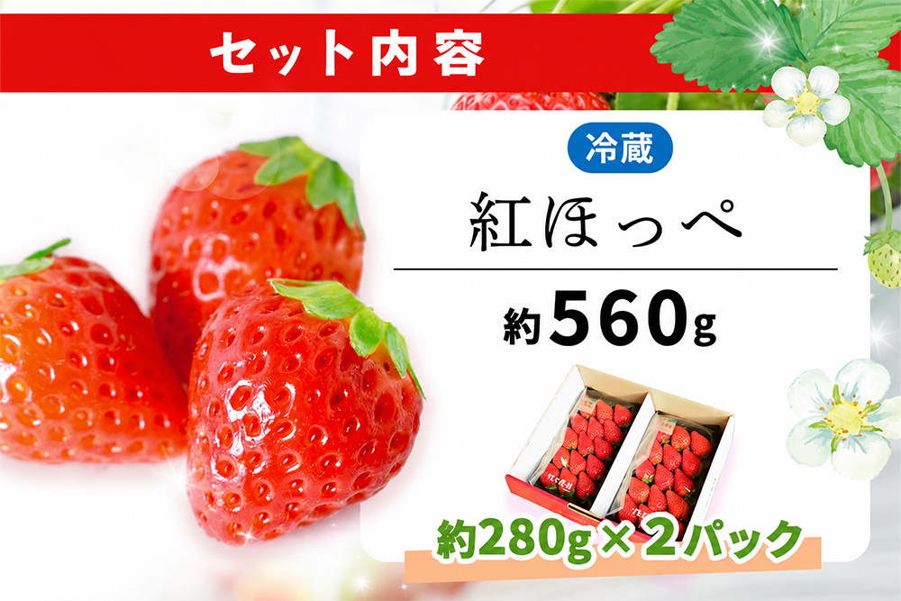 【2026年12月発送】【先行予約】【農場直送！】紅ほっぺ(約280g×2P)【ふるさと納税 佐賀県 基山町産 げんき農場 苺 ブランド苺 イチゴ いちご フルーツ 果物 くだもの 美味しい おいしい