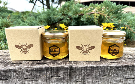 【コラボA】パンケーキミックス2種4個＆はちみつ130g×2 No.585