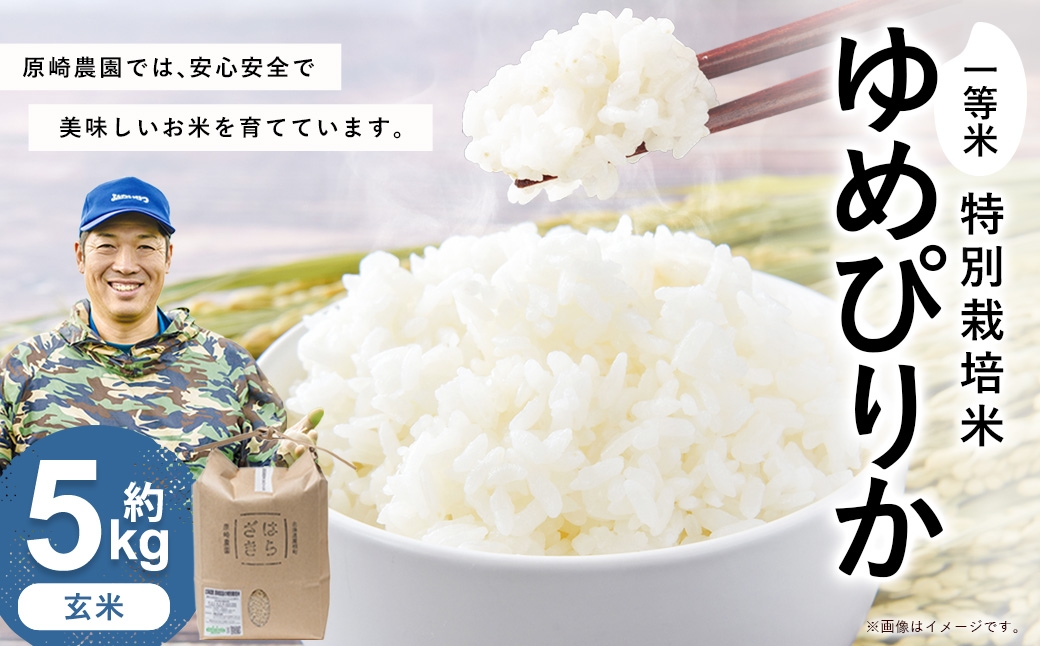 
                  【令和8年産】一等米・特別栽培米 5kg【ゆめぴりか玄米】5kg×1（農薬7割減）北海道 鷹栖町 原崎農園 【2026年10月下旬頃発送開始予定】
                