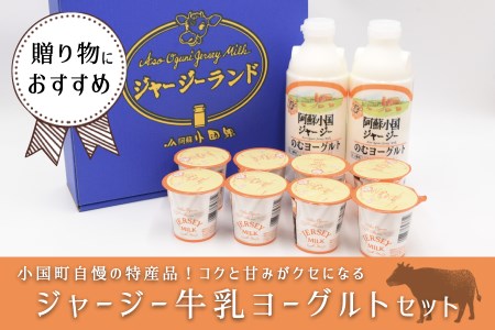 【小国郷特産ジャージー牛乳を使用！】ヨーグルトセット（YS-2）