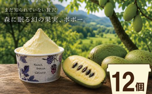 ポポー ジェラート 12個（1個120ml） 幻のフルーツ 自家農園 完熟収穫 フルーツジェラートデザート アイス セット 冷凍 お取り寄せ スイーツ 川島ジェラート 徳島県 吉野川市