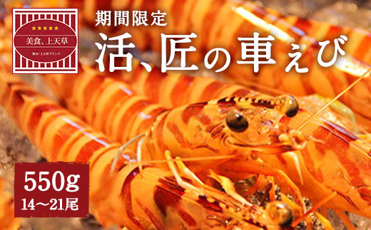 【配送日必須】【上天草市ブランド認証品】活、匠の車えび約550g（約14～21尾） 車海老 クルマエビ えび 海老 エビ 魚介 海鮮 常温【発送期間2026年11月1日から2027年3月31日】