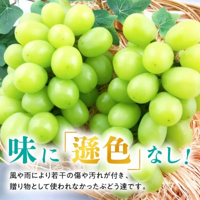 【2025年発送】訳あり!シャインマスカット約2kg!9月上旬～順次発送【人気の岡山産ぶどう】【配送不可地域：離島】