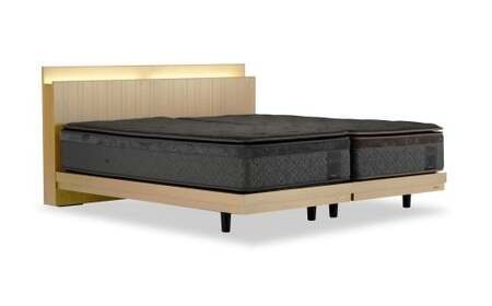 フランスベッド テレス02C 脚付きタイプ シングル（フレームのみ）S-229