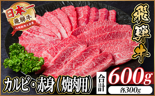 レビューキャンペーン実施中!飛騨牛　厳選カルビ・赤身(焼肉・BBQ用)600g　A4～A5　小分け【配送不可地域：離島】