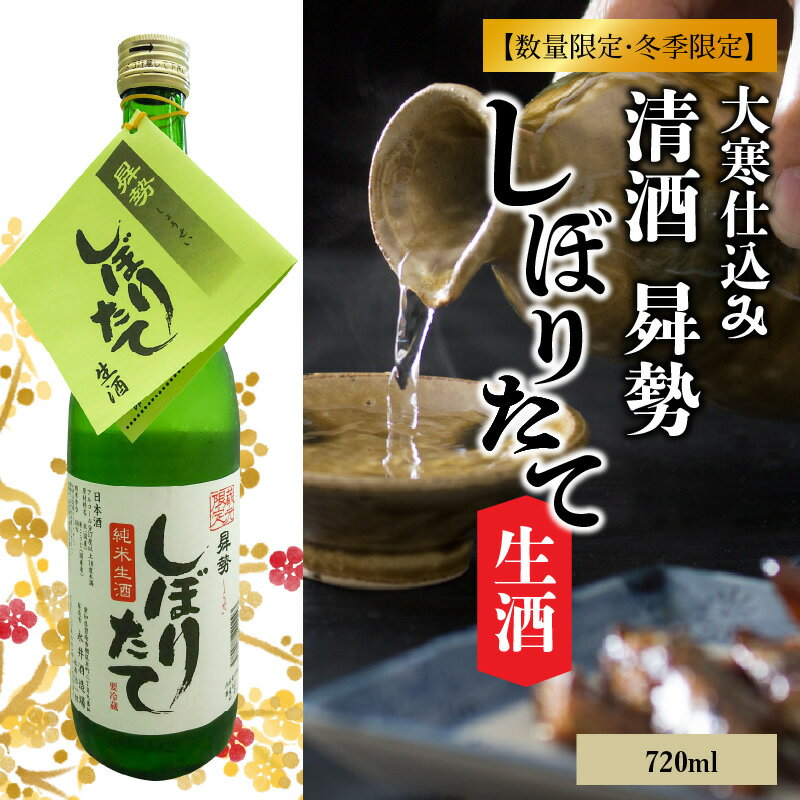 【ふるさと納税】【冬季限定品】 純米酒 大寒仕込み しぼりたて生酒 720ml 日本酒 数量限定 地酒 冬 大寒
