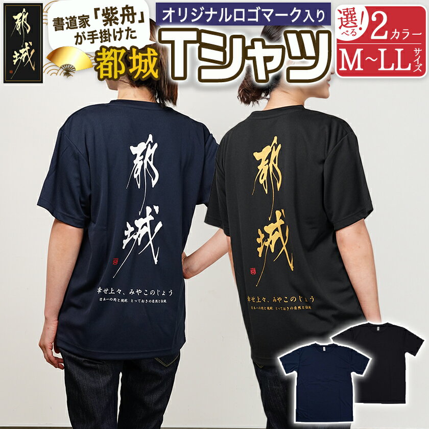 【ふるさと納税】【都城ロゴマーク】Tシャツ※ポスト投函 - 都城市ロゴマーク Tシャツ M/L/LL ネイビー/ブラック 普段着 部屋着 都城ブランド オリジナル ポスト投函 送料無料 LD-1502【宮崎県都城市は2年連続ふるさと納税日本一！】
