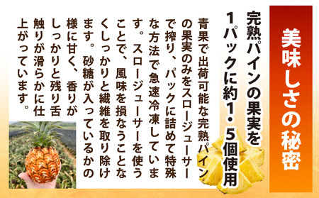 《8月以降順次発送》最高糖度20度！？冬眠マンゴーと完熟パイン4種のジュース 