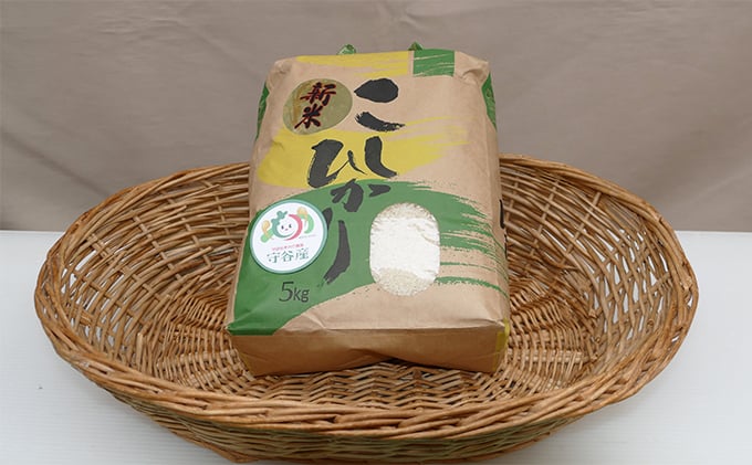 
            令和7年産 コシヒカリ　5kg ｜ お米・コシヒカリ・5kg・米　※2025年9月中旬頃～発送予定
          