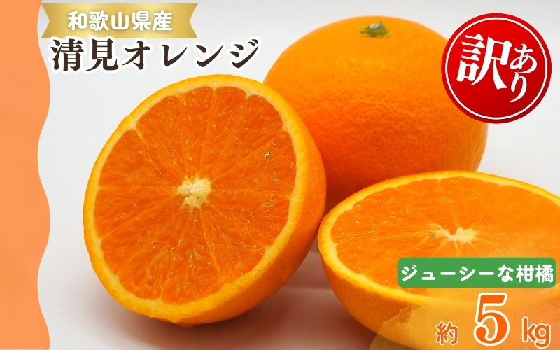 【ご家庭用訳アリ】紀州有田産清見オレンジ　5kg 	※2026年3月下旬頃〜2026年4月中旬頃に順次発送予定(お届け日指定不可)【uot833】