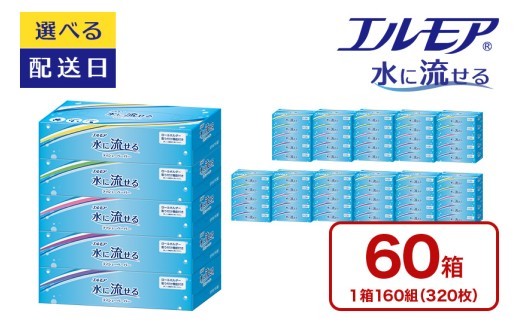 エルモア 水に流せるティシュー 着日指定 60箱 5個×12パック ティッシュ ティッシュペーパー ボックスティッシュ 日用品 消耗品 備蓄 防災 愛媛県 四国中央市