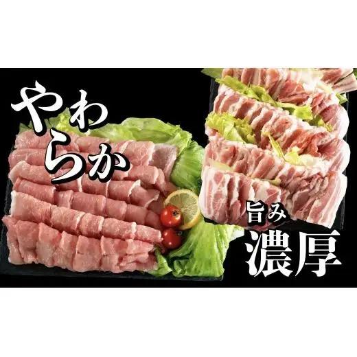《定期便》長崎県産豚 バラ･ロース 焼肉用 2種食べ比べ 計1kg(バラ500g×1･ロース500g×1)【3回お届け】