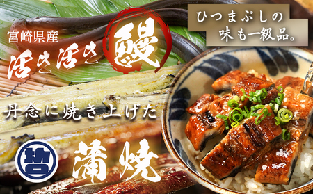 【丑の日】宮崎県育ちのうなぎ蒲焼3尾500g以上≪山椒・たれ付≫≪7月10日～18日お届け≫_AC-M301-UG_(都城市) うなぎ蒲焼(有頭) 宮崎県産 真空 山椒・たれ付 丑の日