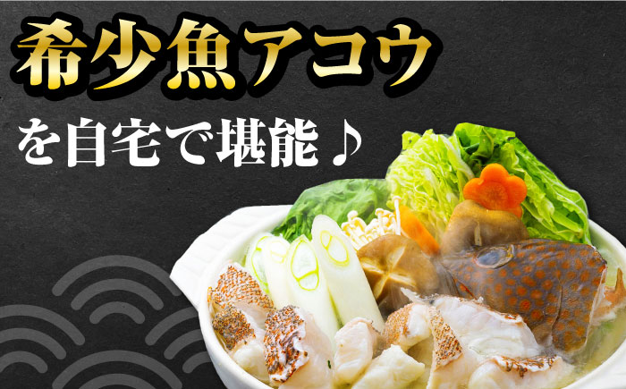 【 対馬産 】 アコウ （ キジハタ ） 鍋 セット 500g 《対馬市》【石川水産】 水炊き 高級 鮮度抜群 海鮮 [WAB002]