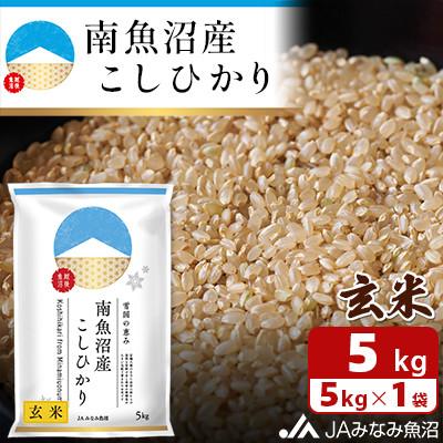 ふるさと納税 南魚沼市 【令和8年産＼新米/】JAみなみ魚沼不動の人気「南魚沼産こしひかり」玄米 5kg