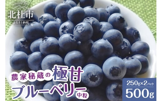 【2026年先行予約】7月～9月初旬発送！農家秘蔵の極甘ブルーベリー　中粒500g（250g×2パック）  ハイブッシュ・ブルーベリー系 ラビットアイ・ブルーベリー系 完熟 濃厚 甘い 冷蔵 期間限定 フルーツ くだもの 山梨県 北杜市