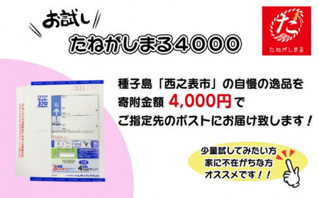 【たねがしまる4000】 種子島 松葉 茶　NFN921【100pt】