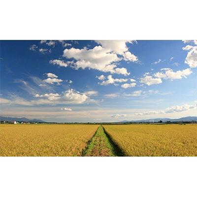 ふるさと納税 旭川市 令和7年産　特別栽培米ゆめぴりか 白米10kg_00438 |  | 01