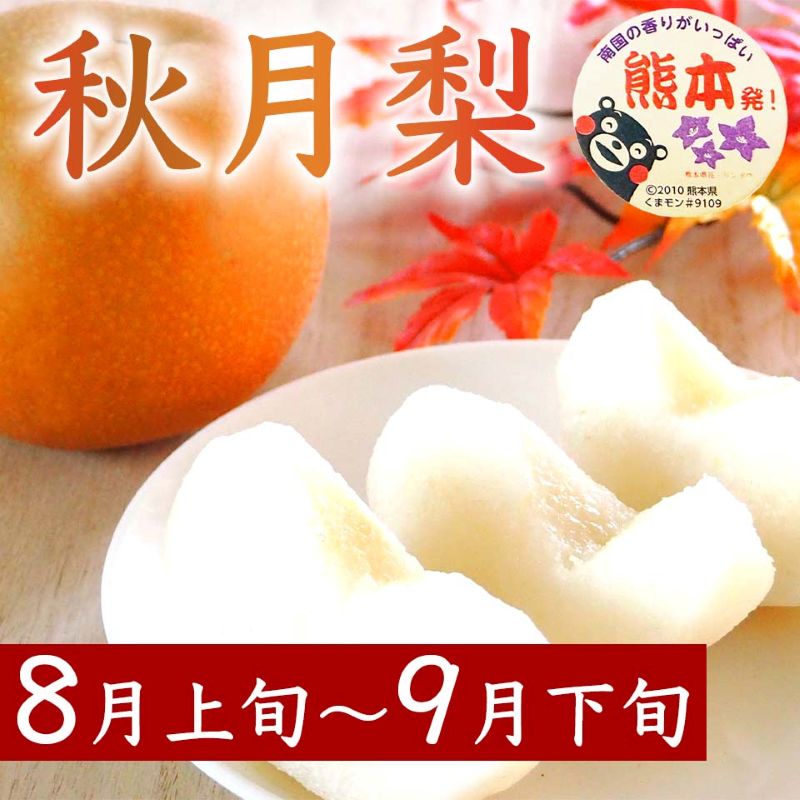 定期便3回 梨 約3kg×3回 計約9kg 豊水 秋月 新高 8月～10月出荷【梨 なし 果物 フルーツ デザート 食後 熊本県産】※配送不可：離島
