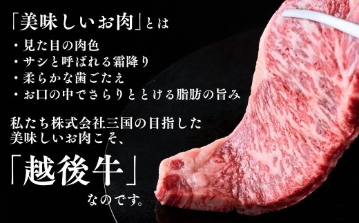 新潟 越後牛 3種 ロースステーキ 200g 三角バラ焼肉 300g ローススライス 200g 計700g 三国 | 小分け 焼肉用 冷凍 ブランド牛 焼肉 越後牛 国産牛 新潟県産 焼き肉 和牛 牛