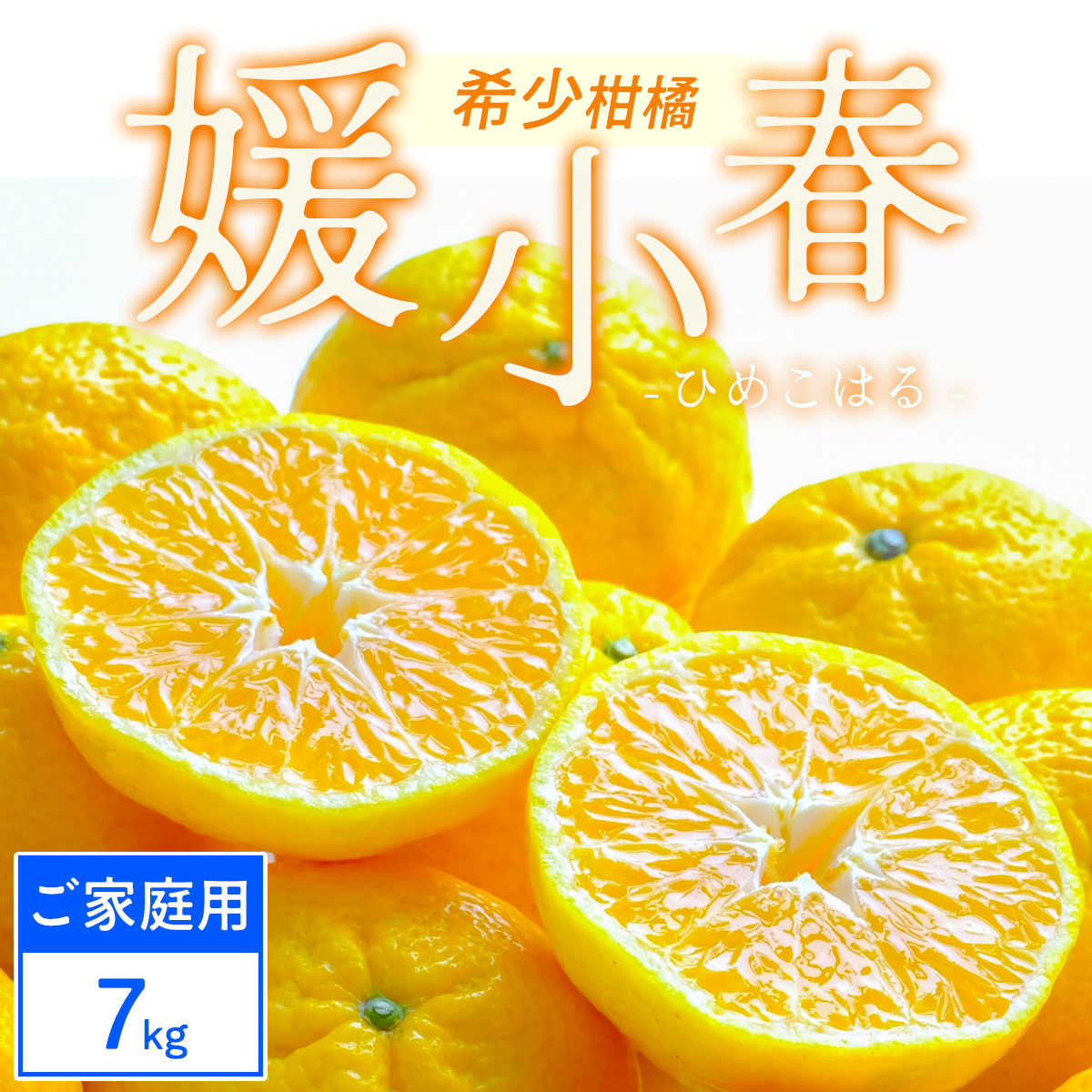 【先行受付】【ご家庭用】媛小春 7kg 愛媛県 八幡浜市 西宇和地区 希少な幻の柑橘【F25-325】【1714079】 YWTAP266