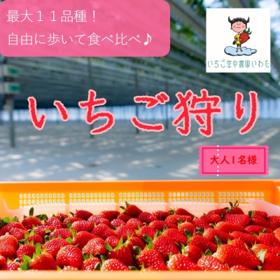 
            最大10品種以上食べ比べ!　いちご空中農園いわた　いちご狩り入園券　45分間食べ放題_ いちご狩り イチゴ狩り 苺狩り いちご イチゴ 苺 チケット 入園券 券 ストロベリー 果物 くだもの フルーツ 新鮮 デザート 大人 1枚 食べ比べ 体験 体験チケット レジャー 農園 静岡 送料無料 【1450154】
          