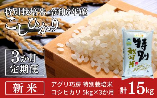 [定期便5kg×3ヶ月] 特別栽培米 コシヒカリ5kg 令和6年産 新潟県認証 新潟県三条市産 こしひかり 3か月連続でお届け【027S014】