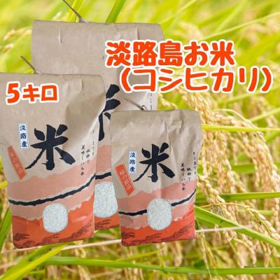 ふるさと納税 南あわじ市 淡路島「コシヒカリ」5キロ〈令和7年度産〉 |  | 01