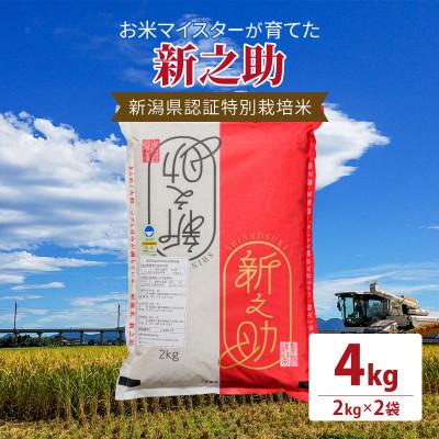 ふるさと納税 上越市 令和7年産お米マイスターが育てた新潟県認証特別栽培米「新之助」上越頸城産 4kg(2kg×2)精米