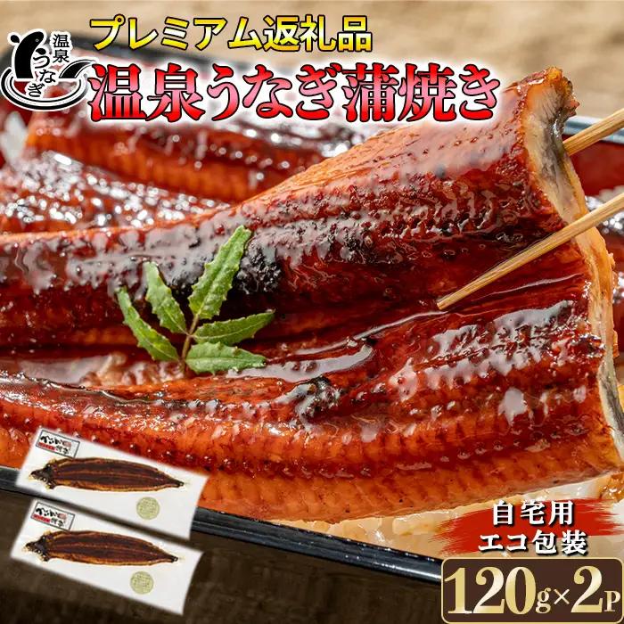 完全無投薬養殖！温泉うなぎ蒲焼 2尾（120gサイズ） 自宅用 エコ包装  ＜104-067＞
