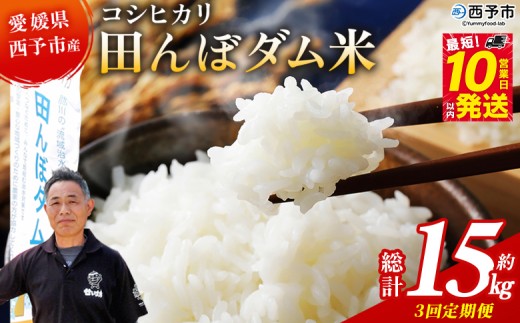 ＜令和7年産 愛媛県西予市産 コシヒカリ 田んぼダム米 5kg 3回定期便＞※最短10営業日以内に第1回目を出荷予定 5キロ こしひかり 西予応援米 宇和米 お米 コメ こめ 白米 精米 米 国産 愛媛県産 宇和町産 和みファーム 愛媛県 西予市【常温】