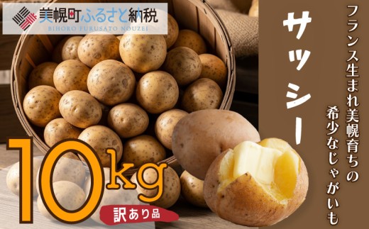 【 数量限定 】 訳あり じゃがいも「サッシー」Mサイズ・10kg いも イモ 芋 じゃがいも ジャガイモ サッシー ふるさと納税 人気 おすすめ ランキング 北海道 美幌町
