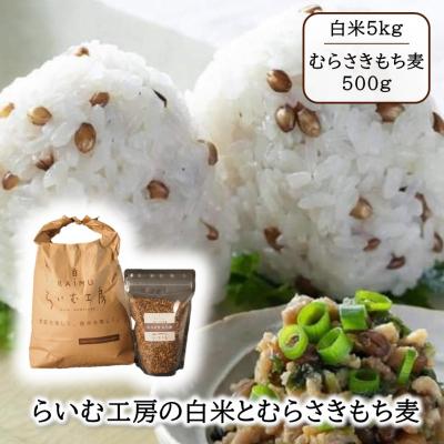 ふるさと納税 国東市 らいむ工房のむらさきもち麦500gと白米5kg_2506R