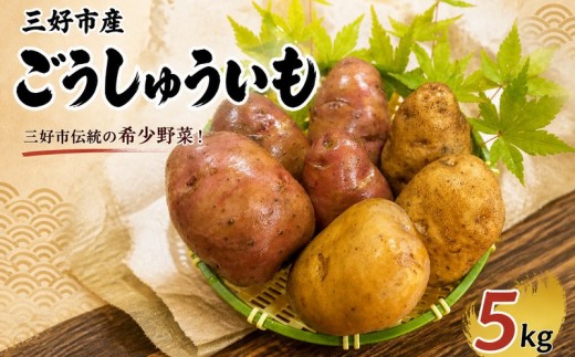 じゃがいも 5kg ごうしゅういも 小粒 秀品 いも ジャガイモ 馬鈴薯 ポテト 煮物 おでん でこまわし ごうしゅいも 源平いも ポテトサラダ ポテサラ 贈答 おすそ分け ホクホク 甘い 野菜 送料無料